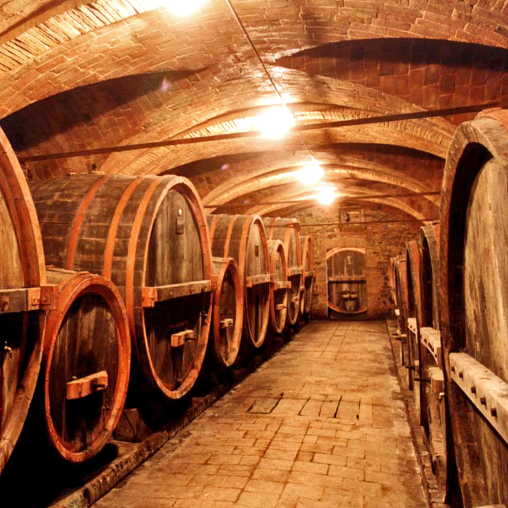 Wine tour